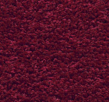 Ковролин AW Devotion 10 фото 1 | FLOORDEALER